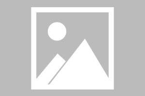 Xingkong Sports-数据爆炸！蓝军火力全开，巴黎剑指世俱首冠：世俱杯决赛前瞻